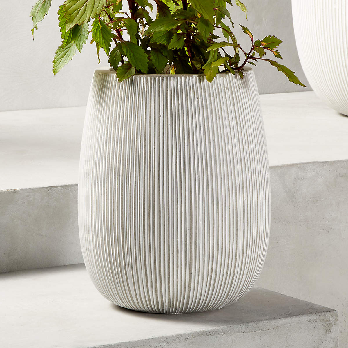 Pod Grey Cement Indoor/Outdoor Medium Planter 15.75"H