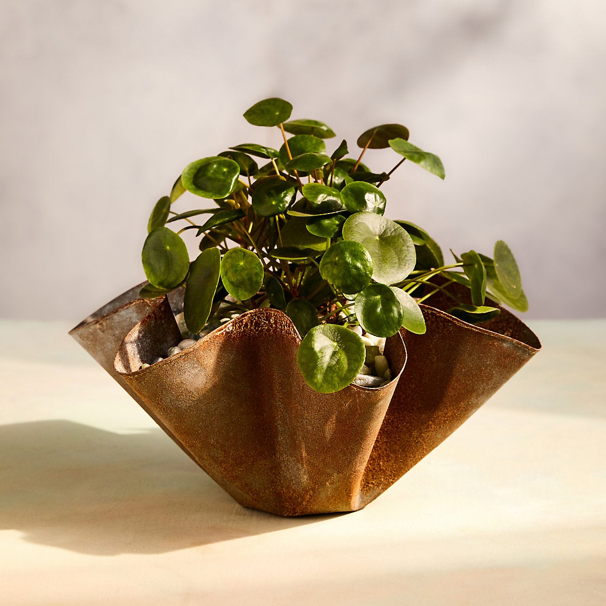 16" Handkerchief Iron Bowl Planter