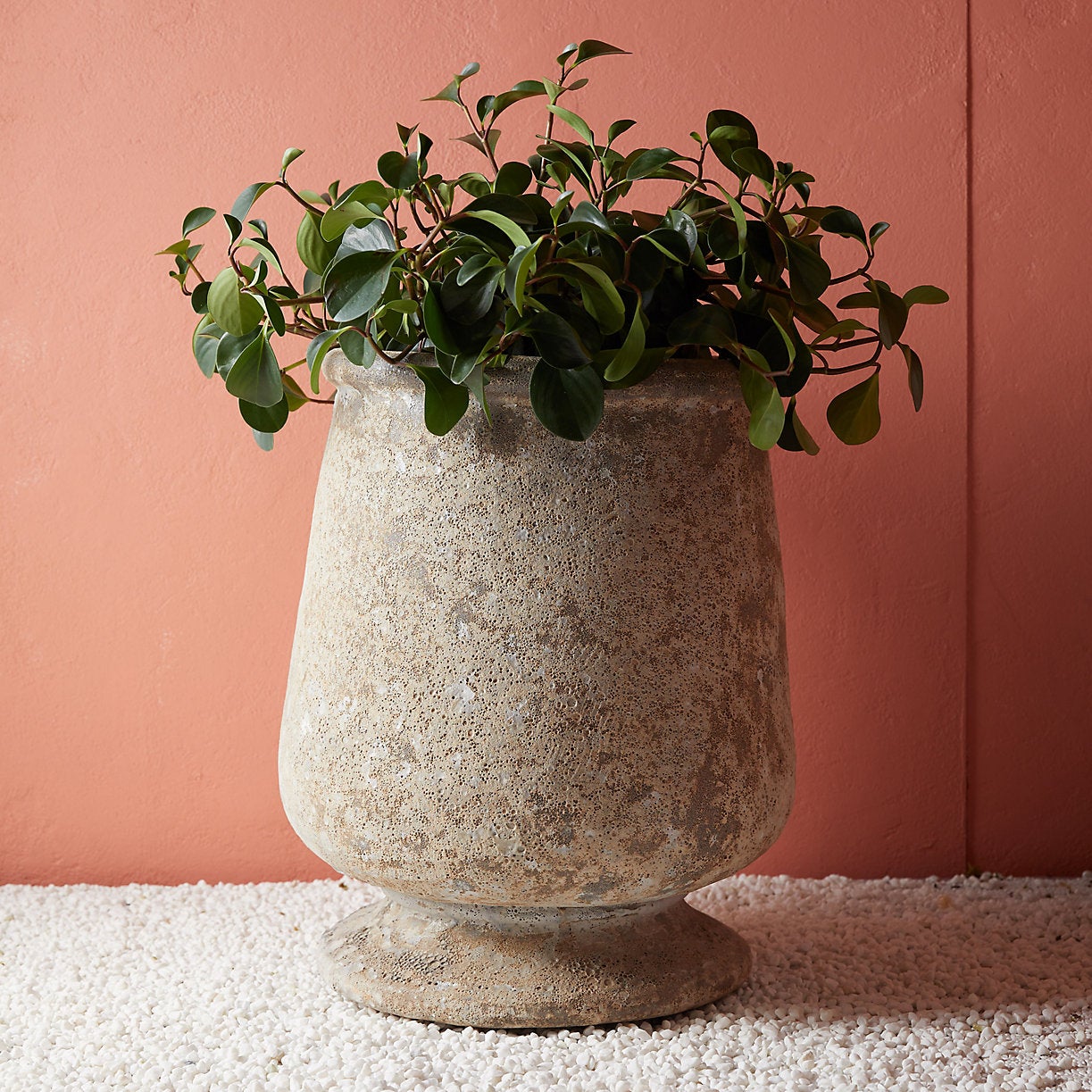 13" Barnacle Urn
