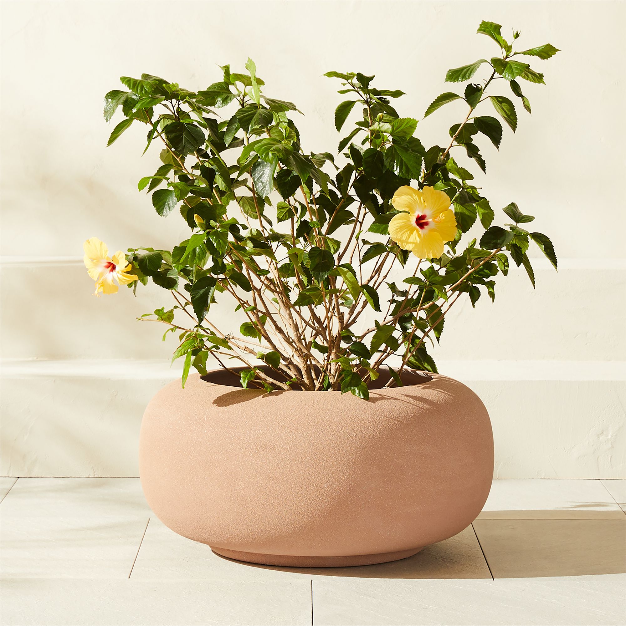 Anique Round Taupe Cement Outdoor/Indoor Planter Short