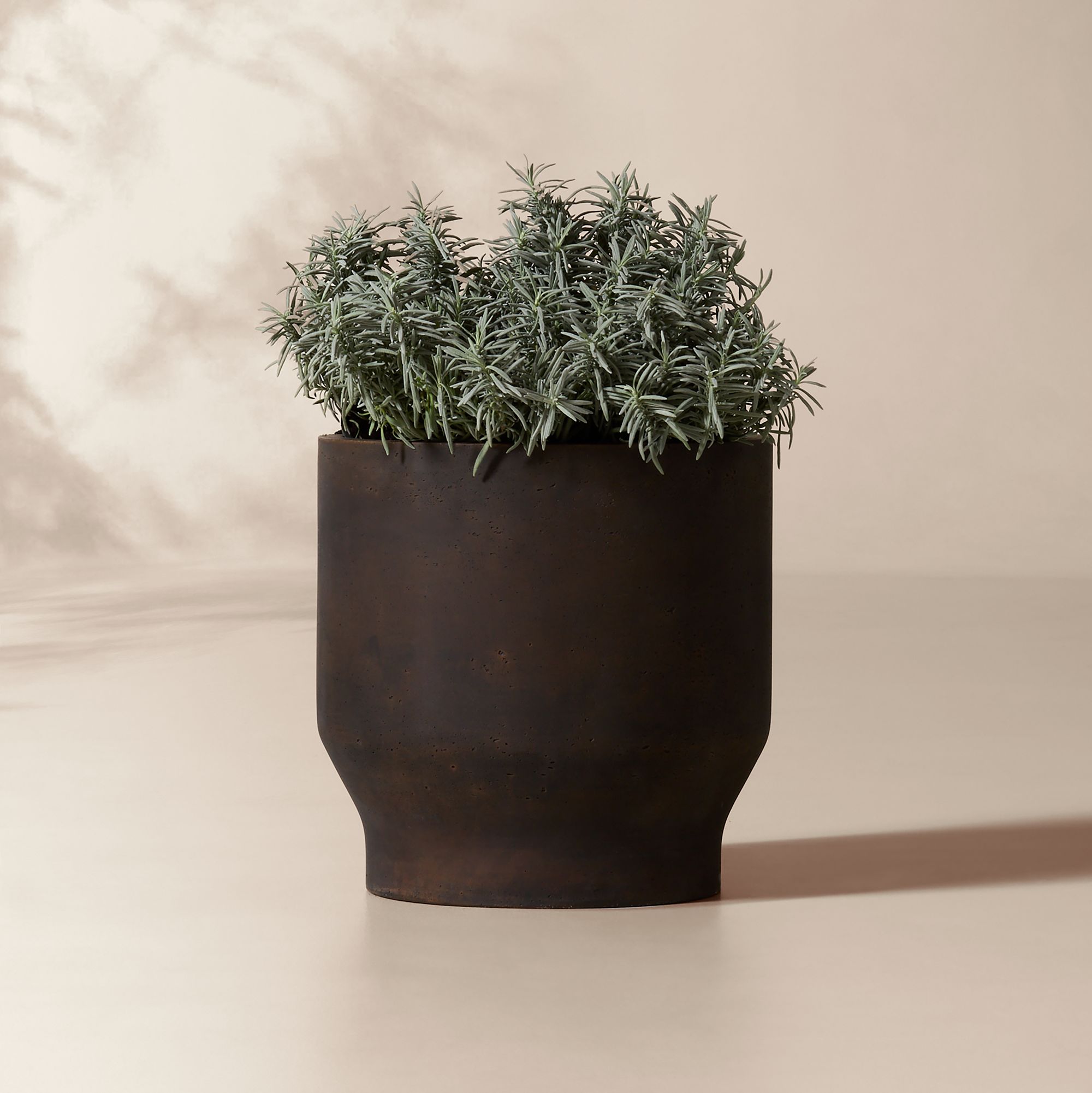 Oberon Antiqued Dark Brown Cement Indoor/Outdoor Medium Planter 15.75"H